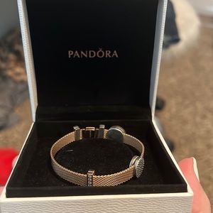 Pandora Rose Reflexions Mesh Charm Bracelet